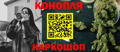 амф Гатчина