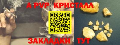 амф Гатчина