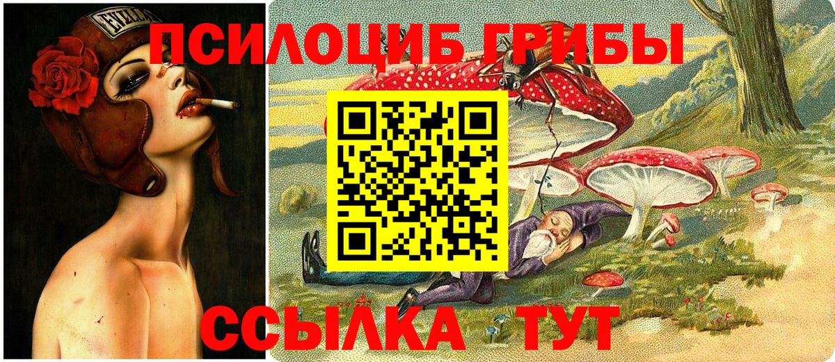 Псилоцибиновые грибы мухоморы  Вход с VPN  Балтийск 